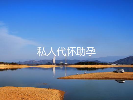 私人代怀助孕