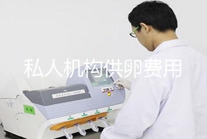私人机构供卵费用