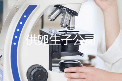 供卵生子公司