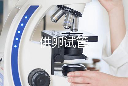 供卵试管