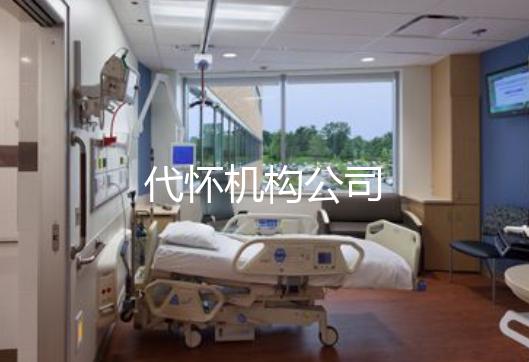 代怀机构公司