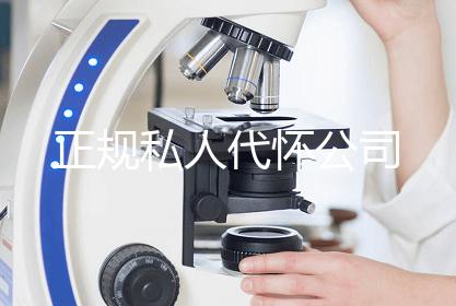 正规私人代怀公司